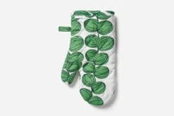 Grytvante Celotocaulis