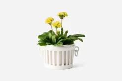 Kruka Malicorne Sur Sarthe