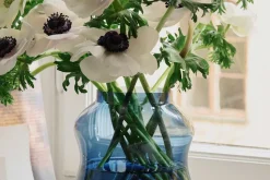 Ljuslykta/Vas Mareld