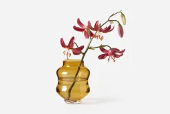 Ljuslykta/Vas Mareld