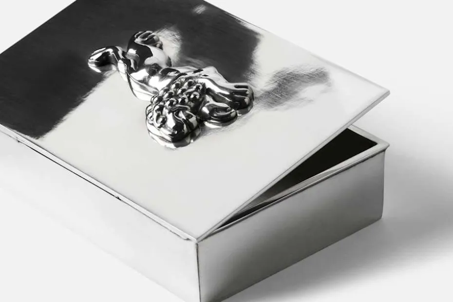 Skrin med Lock Lejon